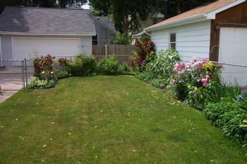 indianadj profile photo