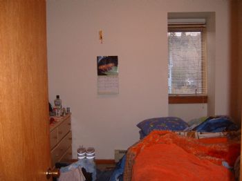 krobotka profile photo