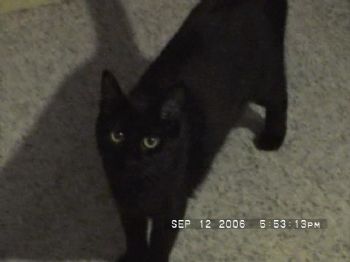 jmhall1979 profile photo