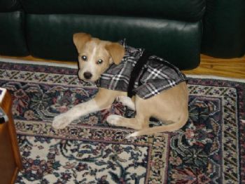 CALL26O33O2 profile photo