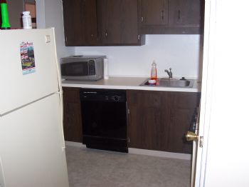 gdifrancesco profile photo