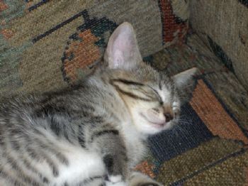 Nikki_lv profile photo