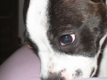 MeetUsLoveUs profile photo