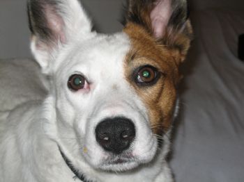 MeetUsLoveUs profile photo