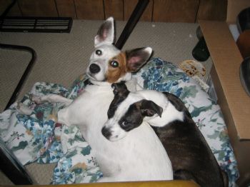 MeetUsLoveUs profile photo