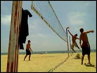 Beachguy6069 profile photo