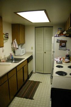 tova_love profile photo