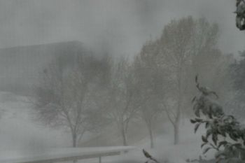 tova_love profile photo