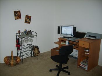 wareswild profile photo