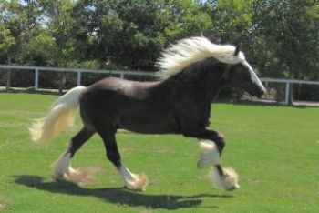 gmoore904 profile photo