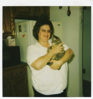 looking211 profile photo