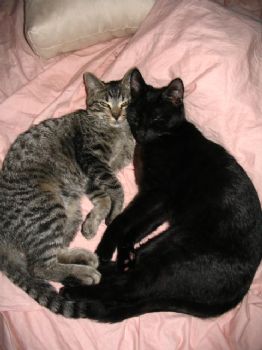 Suzanne813 profile photo