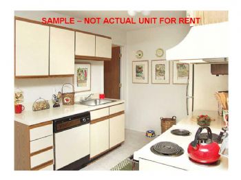 megan0903 profile photo