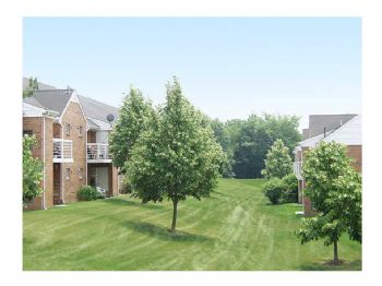 megan0903 profile photo