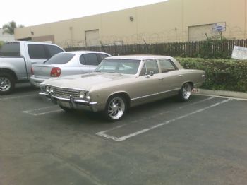 ignoramos profile photo