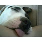 amandalyn25 profile photo