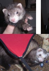 sam01256 profile photo