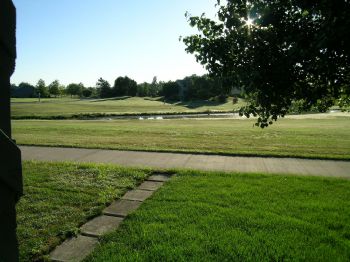 randyobert profile photo