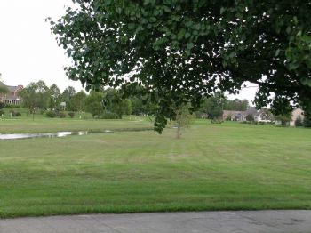 randyobert profile photo