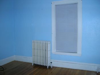 lynnedeameli profile photo