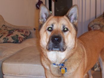 Brook25 profile photo