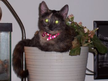 Brook25 profile photo