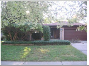 aflaster profile photo