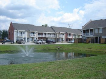 npunch1 profile photo