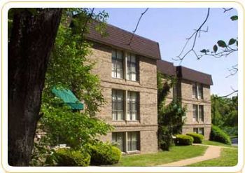 david33 profile photo