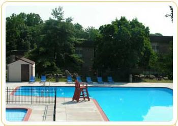 david33 profile photo