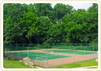 david33 profile photo