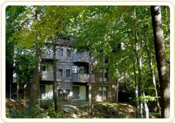 david33 profile photo