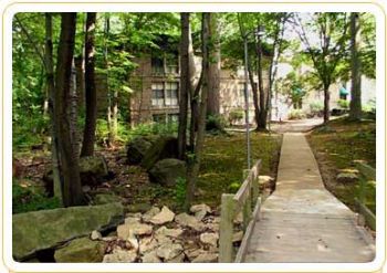 david33 profile photo