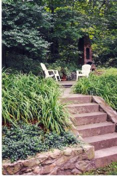 kimtudor profile photo