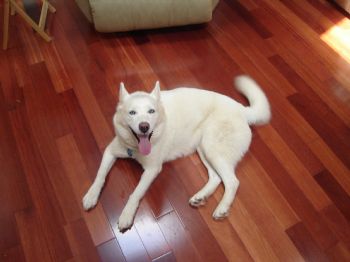 erinsita15 profile photo