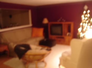 erinsita15 profile photo