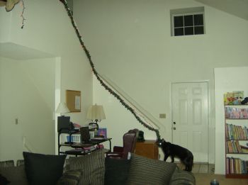 becca_a_2006 profile photo