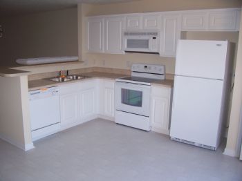 MarcelS81 profile photo