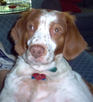 lmaisner profile photo
