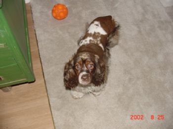 soside754 profile photo