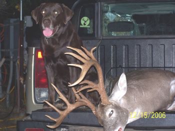 7572010096 profile photo