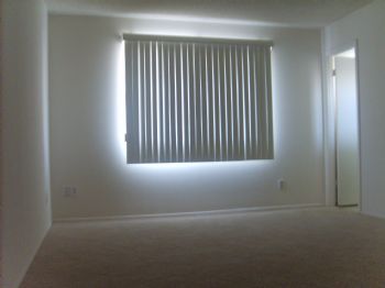 candedream profile photo