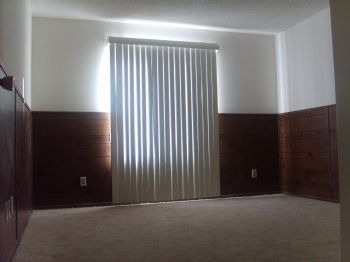 candedream profile photo