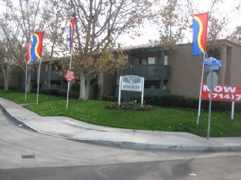 sricord profile photo