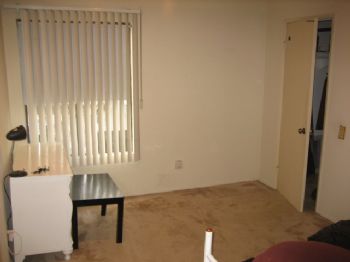 sricord profile photo