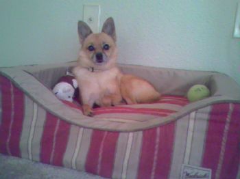 ambular22 profile photo