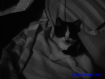 sunnylee profile photo