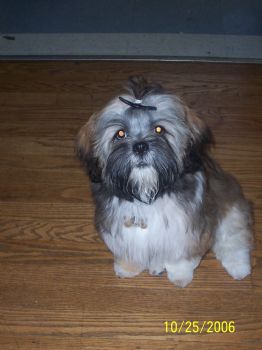 ellie85 profile photo