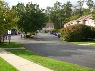 newton6006 profile photo