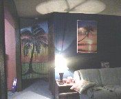 Musician24 profile photo